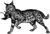 AMB020B.JPG
