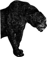 AMB018E.JPG