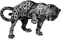 AMB018C.JPG