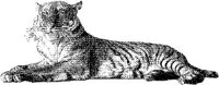 AMB015D.JPG