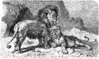 AMB014A.JPG