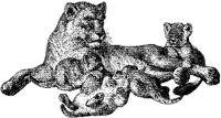 AMB013C.JPG