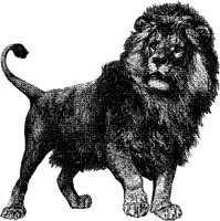AMB012D.JPG