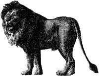 AMB012C.JPG