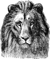 AMB011B.JPG