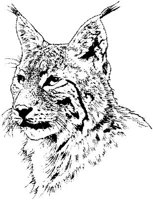 AIL009B.JPG