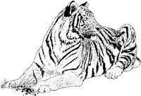 AIL001C.JPG