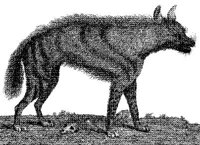 TAN021A.JPG
