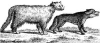 TAN020C.JPG
