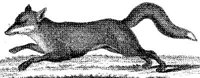 TAN020A.JPG