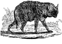 EAC014HH.JPG