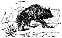EAC014AA.JPG