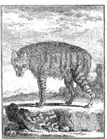 ANI108A.JPG