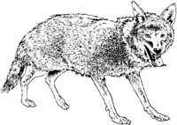 AIL031D.JPG