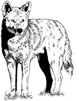 AIL021A.JPG