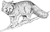 AIL018E.JPG