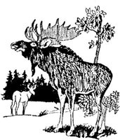 LAC011I.JPG