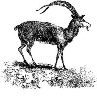 EAC013Y.JPG