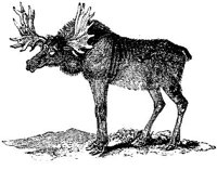EAC013X.JPG