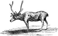 EAC013U.JPG