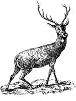EAC013T.JPG