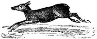 EAC013Q.JPG