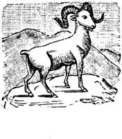 EAC013O.JPG