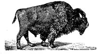 EAC013J.JPG