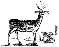 EAC013I.JPG