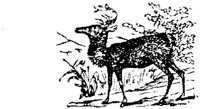 EAC013G.JPG