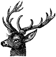EAC013F.JPG