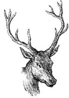 EAC013A.JPG