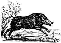 EAC012O.JPG