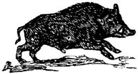 EAC010W.JPG