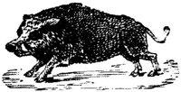 EAC010V.JPG