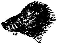 EAC010U.JPG