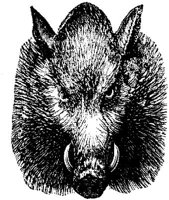 EAC010O.JPG