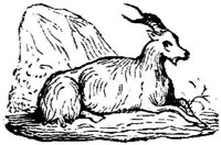 EAC010B.JPG
