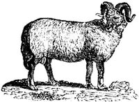 EAC008T.JPG