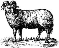 EAC008R.JPG