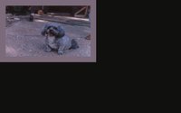 CG89A.GIF