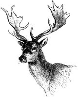 AMB074F.JPG