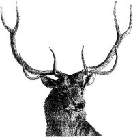 AMB074D.JPG