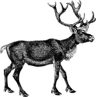 AMB074C.JPG