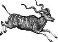 AMB069B.JPG