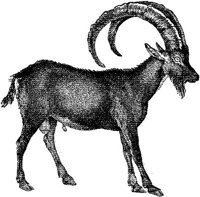 AMB062F.JPG
