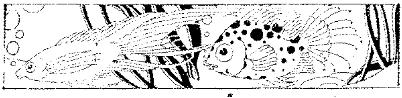 WMG041E.JPG