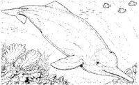 WHD014A.JPG