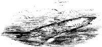 VSI072E.JPG