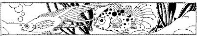 TVA032B.JPG
